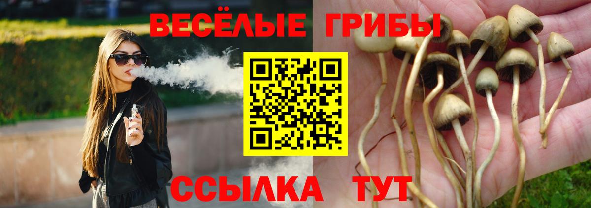 Псилоцибиновые грибы Cubensis  Вход с VPN  Шелехов  Псилоцибиновые грибы Cubensis 